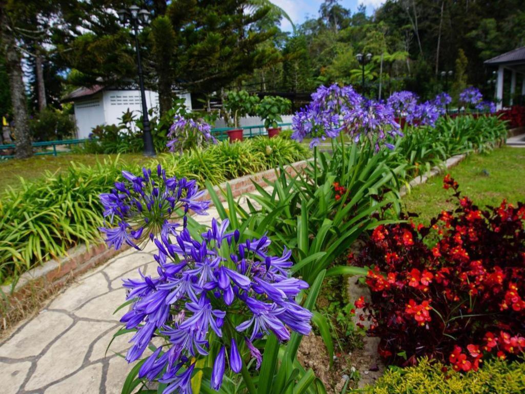 Hotel The Tudor Cameron Highlands