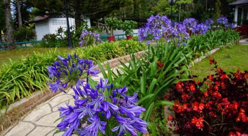 The Tudor Hotel Cameron Highlands
